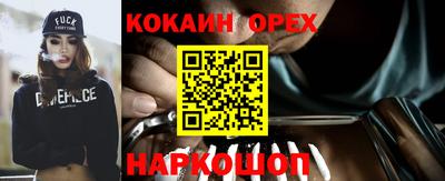тгк Можга