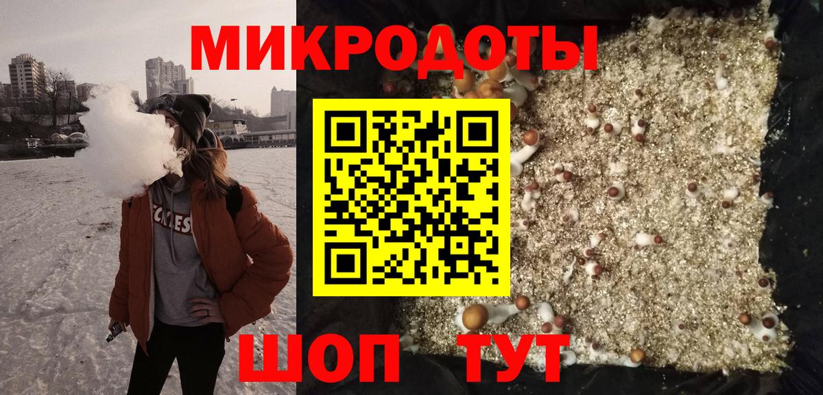 Псилоцибиновые грибы GOLDEN TEACHER Ступино