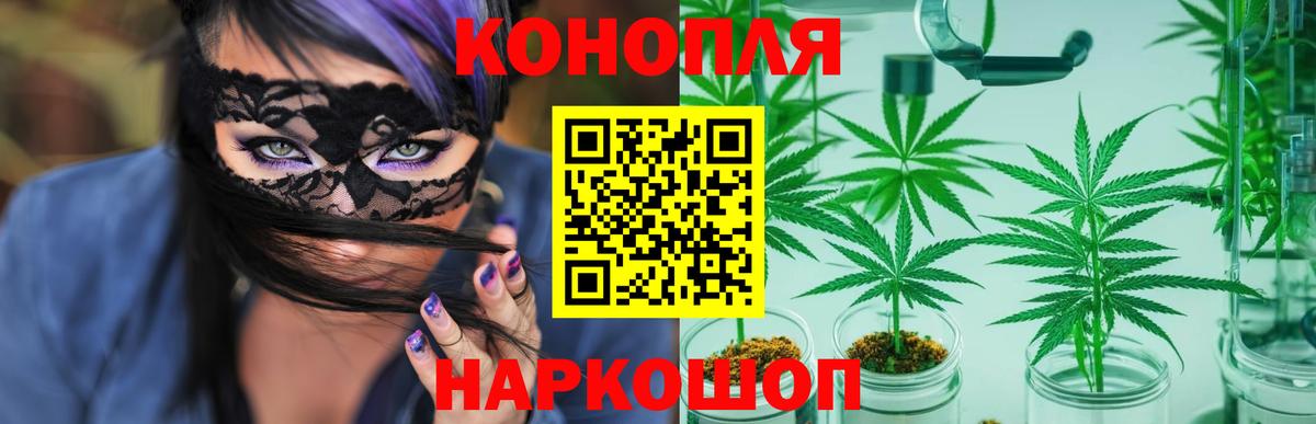 Шишки марихуана тримм  Вход с VPN  Канабис планчик  Ступино  Бошки марихуана White Widow  Шишки марихуана Amnesia 